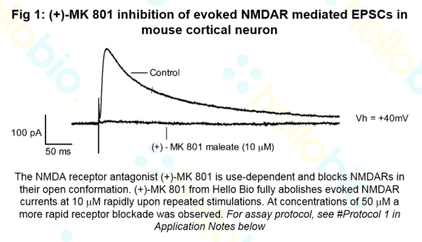 mk 801 nmda receptor antagonist