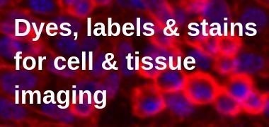 Cell imaging dyes, labels and stains